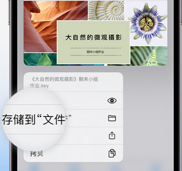 铜官apple维修中心分享iPhone文件应用中存储和找到下载文件