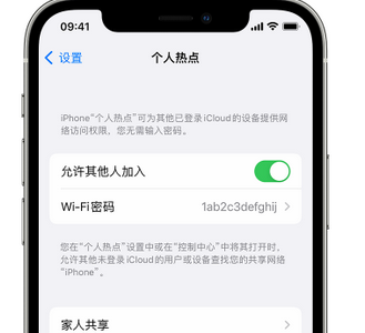 铜官apple服务站点分享iPhone上个人热点丢失了怎么办 