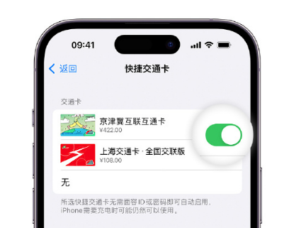 铜官apple维修点分享iPhone上更换Apple Pay快捷交通卡手绘卡面 