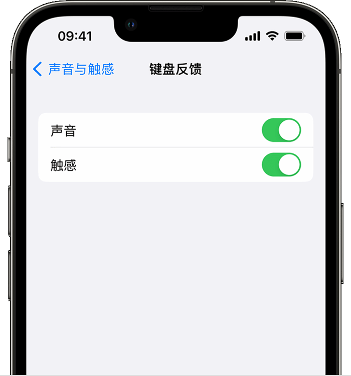 铜官苹果14维修店分享如何在 iPhone 14 机型中使用触感键盘 