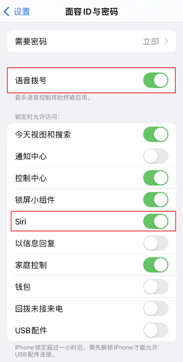 铜官苹果维修网点分享不解锁 iPhone 的情况下通过 Siri 拨打电话的方法 