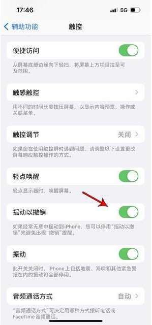 铜官苹果手机维修分享iPhone手机如何设置摇一摇删除文字 